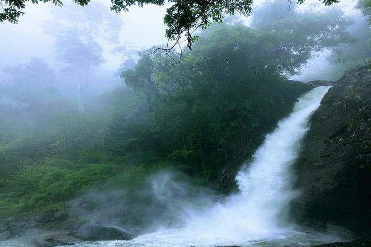 Coorg to Wayanad sightseeing route, attractions and activities